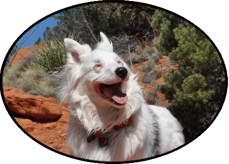 kooper_sedona_new