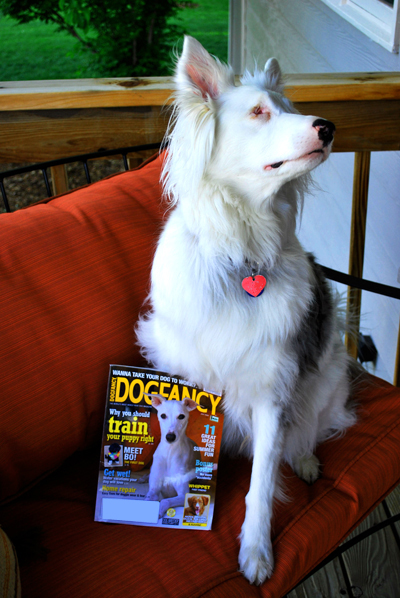 dogfancy